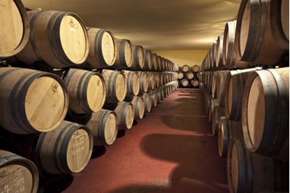 Picture of Bodega with capacity 450,000 L., Spain